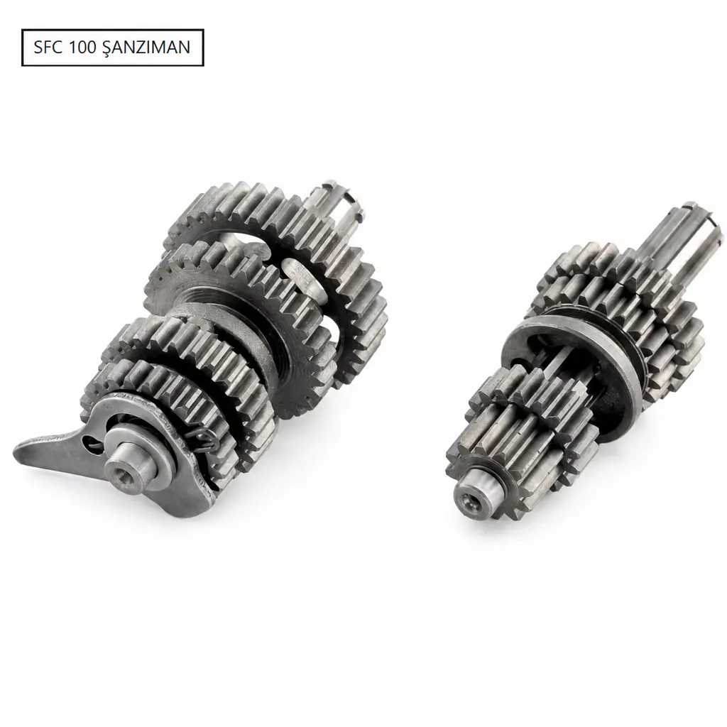 MONDİAL SFC 100 ŞANZIMAN SET