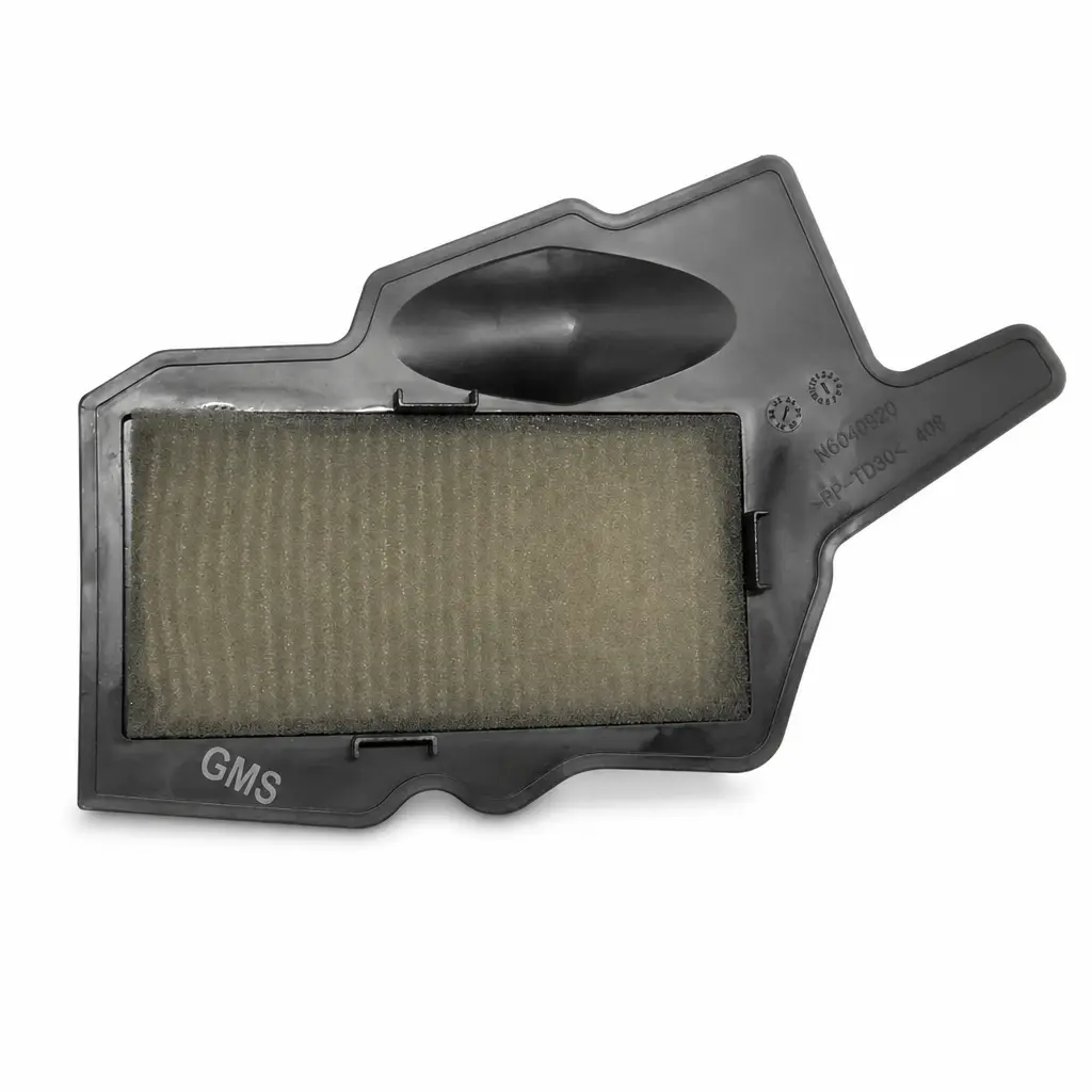 HAVA FILTRESI TVS RAIDER 125